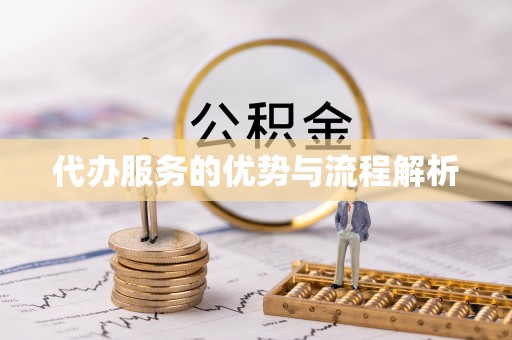 奉新代办服务的优势与流程解析