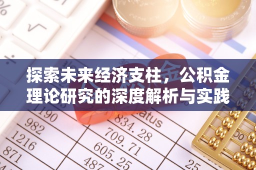 奉新探索未来经济支柱，公积金理论研究的深度解析与实践意义