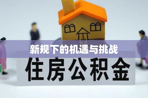 奉新新规下的机遇与挑战