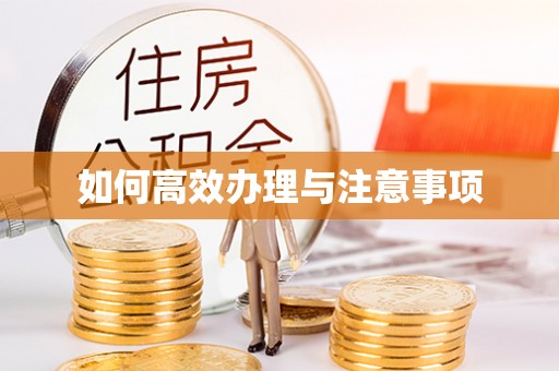 奉新如何高效办理与注意事项