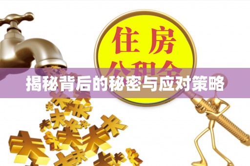 奉新揭秘背后的秘密与应对策略