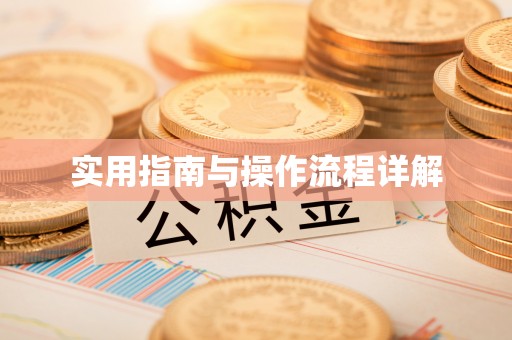 奉新实用指南与操作流程详解