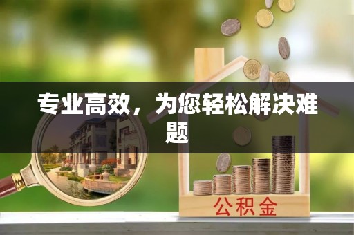 奉新专业高效，为您轻松解决难题
