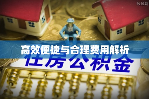 奉新高效便捷与合理费用解析