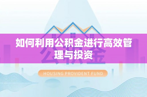 奉新如何利用公积金进行高效管理与投资