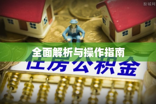 奉新全面解析与操作指南