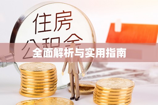 奉新全面解析与实用指南