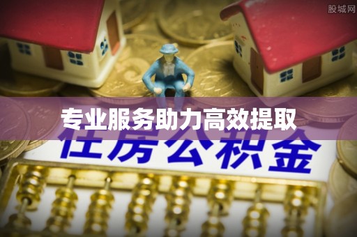 奉新专业服务助力高效提取