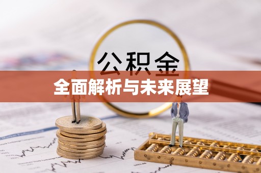 奉新全面解析与未来展望