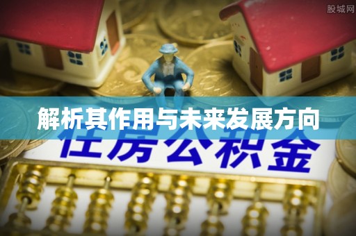 奉新解析其作用与未来发展方向
