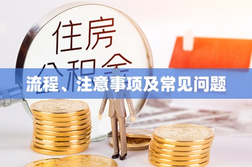 奉新流程、注意事项及常见问题