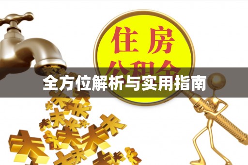 奉新全方位解析与实用指南