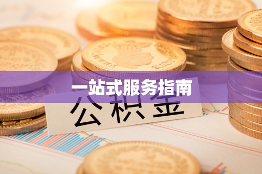 奉新一站式服务指南