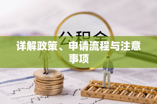 奉新详解政策、申请流程与注意事项