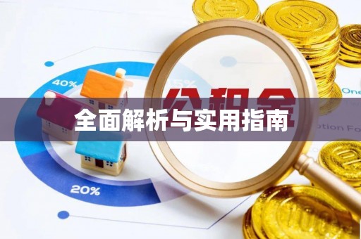 奉新全面解析与实用指南