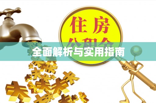 奉新全面解析与实用指南