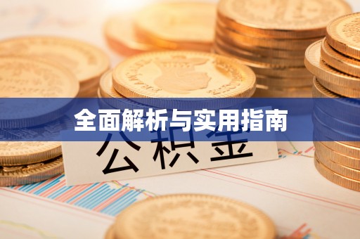 奉新全面解析与实用指南