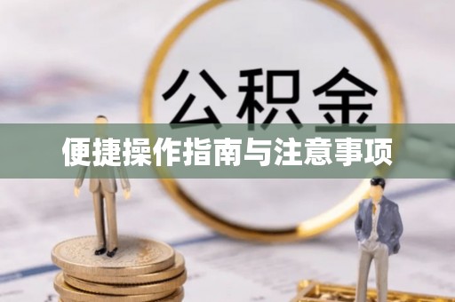 奉新便捷操作指南与注意事项