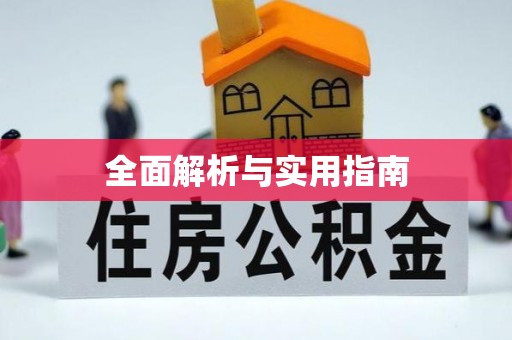 奉新全面解析与实用指南