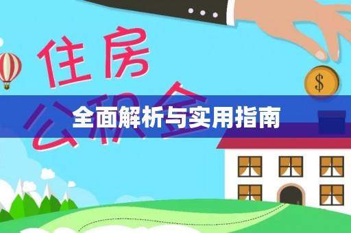 奉新全面解析与实用指南