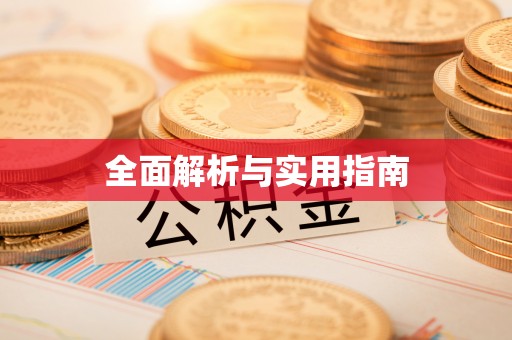 奉新全面解析与实用指南