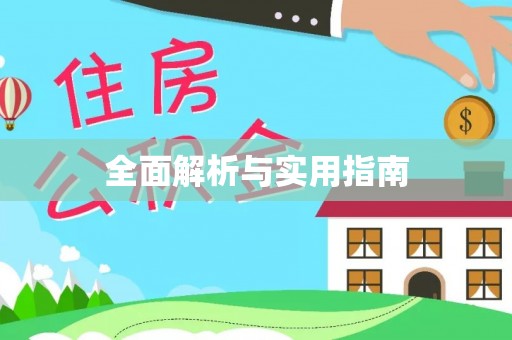 奉新全面解析与实用指南