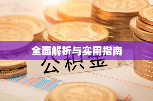 奉新全面解析与实用指南