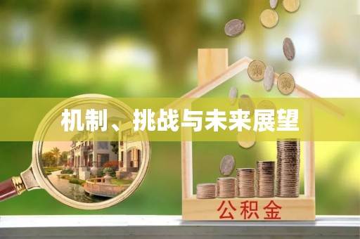 奉新机制、挑战与未来展望
